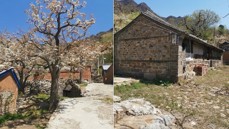 不朽情缘官网入口集团受邀前往北京市平谷区核桃洼村就乡村振兴合作项目进行实地考察